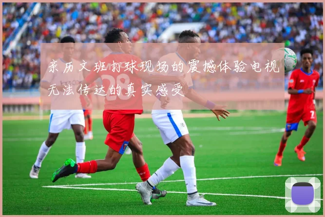 亲历文班打球现场的震撼体验电视无法传达的真实感受