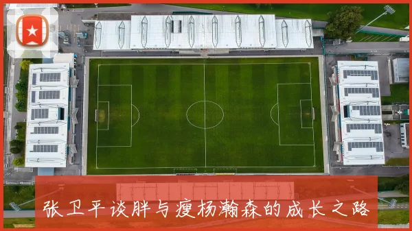 张卫平谈胖与瘦杨瀚森的成长之路与扎实基础分析
