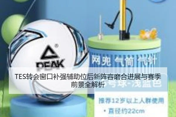 TES转会窗口补强辅助位后新阵容磨合进展与赛季前景全解析